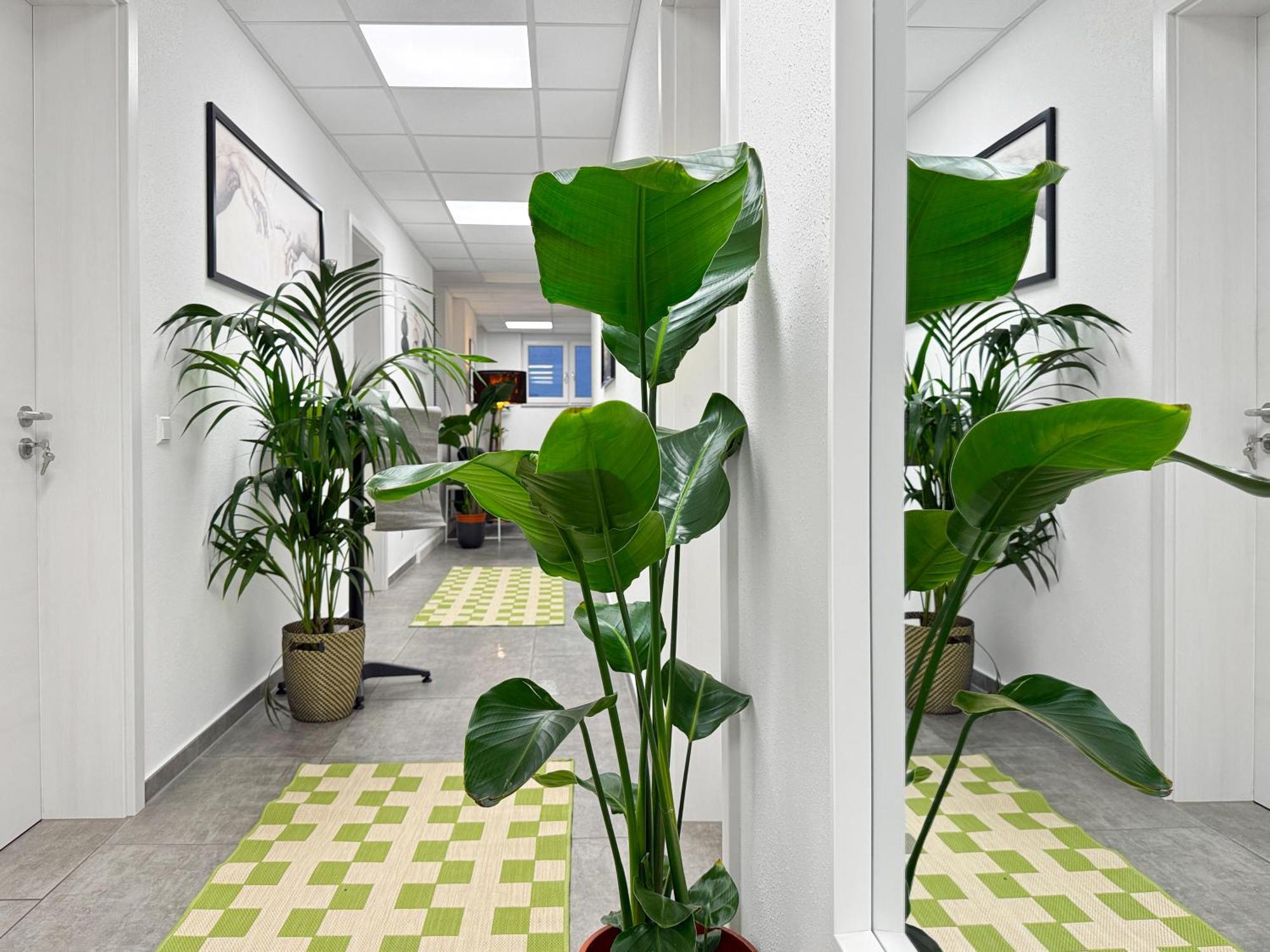 Group Friendly Comfort Central Stuttgart Apartment Estugarda Exterior foto